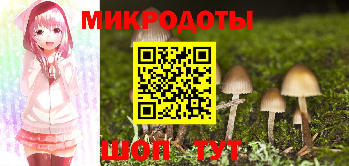 Шатура  Псилоцибиновые грибы ЛСД  хочу   Вход с VPN 